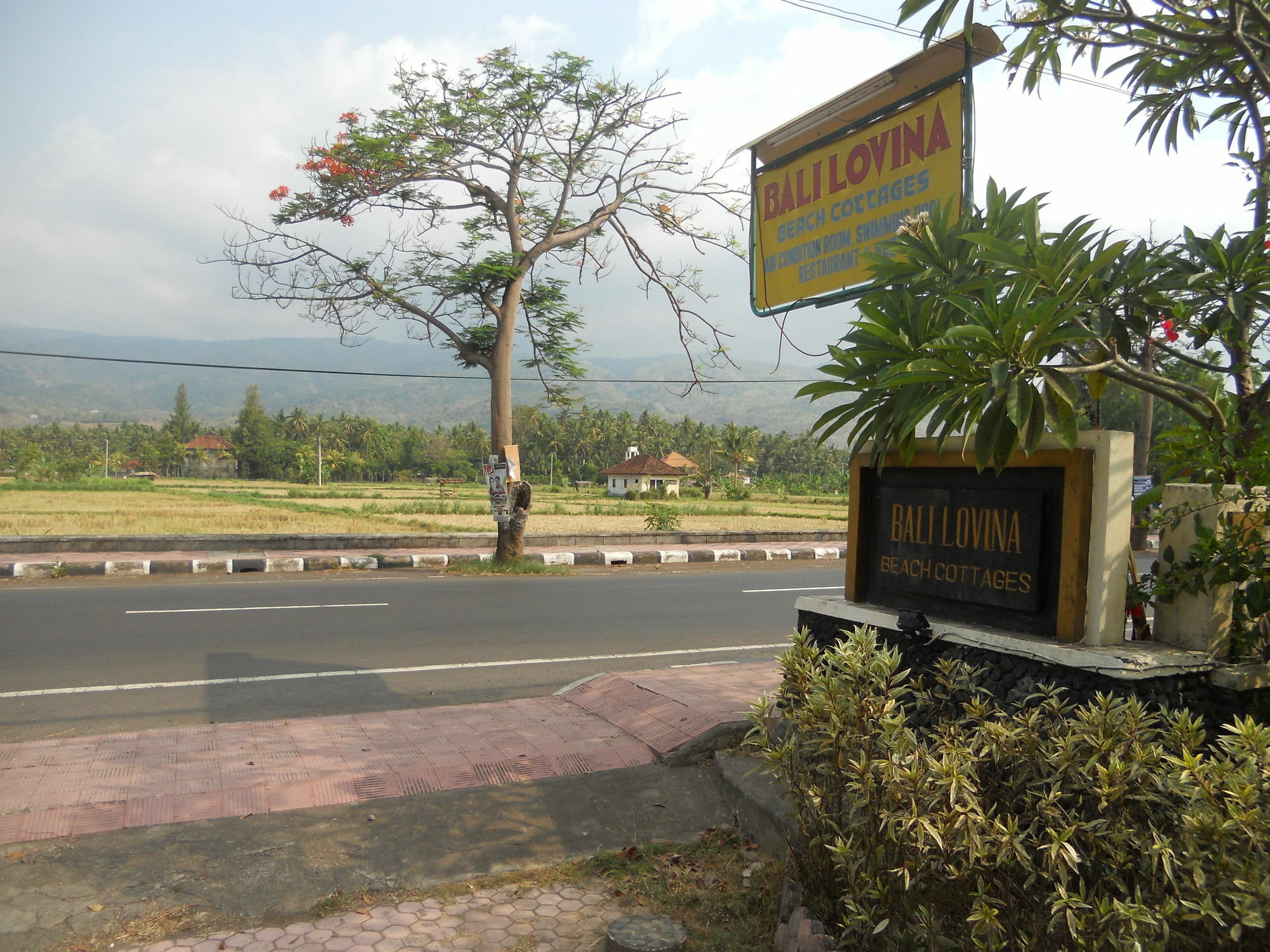 Bali Lovina Beach Cottages Buleleng  Bagian luar foto