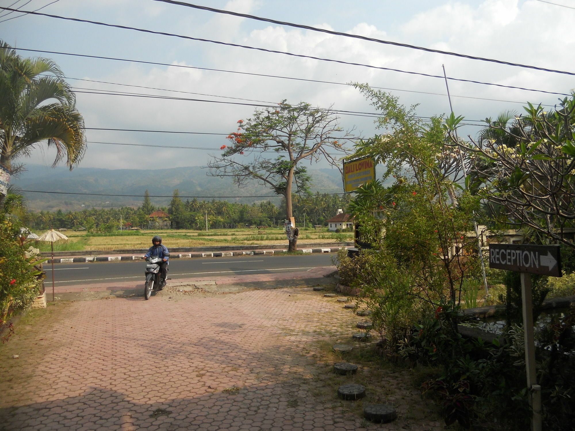 Bali Lovina Beach Cottages Buleleng  Bagian luar foto