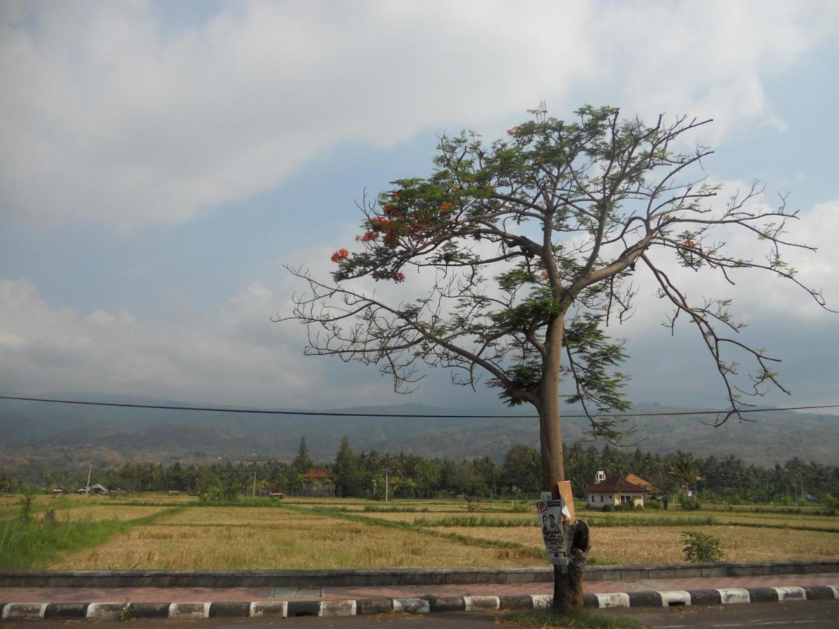 Bali Lovina Beach Cottages Buleleng  Bagian luar foto